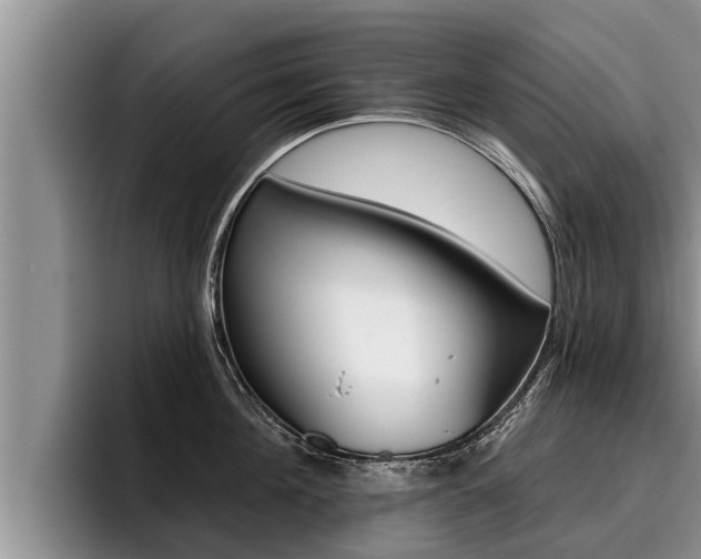 X0000096210908200801181007
