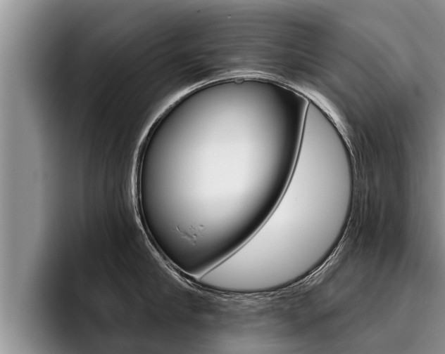 X0000096210910200801181007