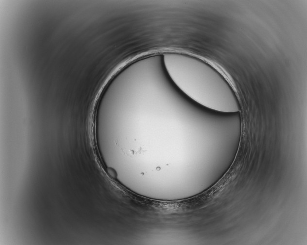 X0000096210911200801181007