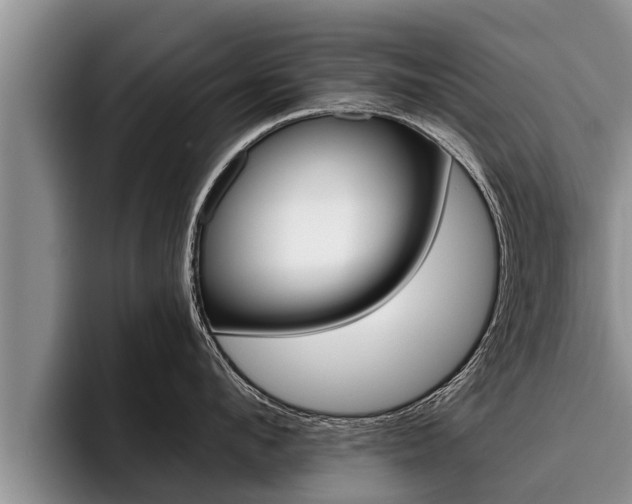 X0000096210912200801181007