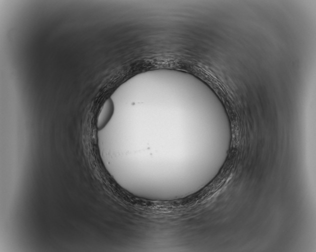 X0000096210913200801181006