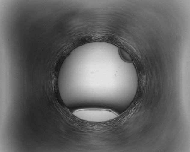 X0000096210914200801181006