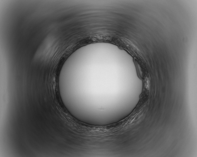X0000096210915200801181006
