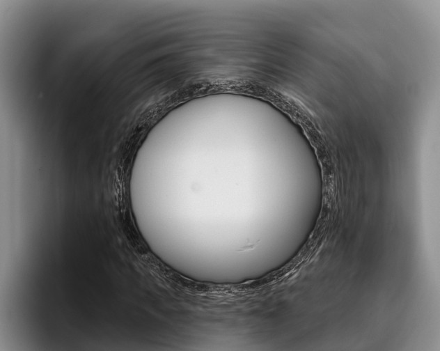 X0000096210917200801181006