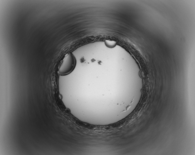 X0000096210918200801181006