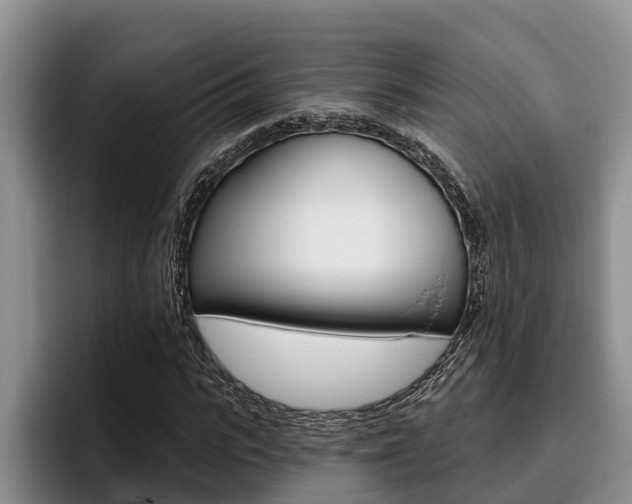 X0000096210919200801181006