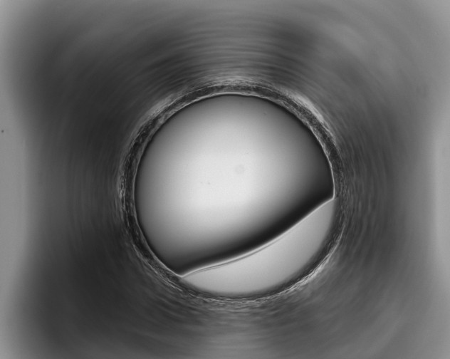 X0000096210922200801181006