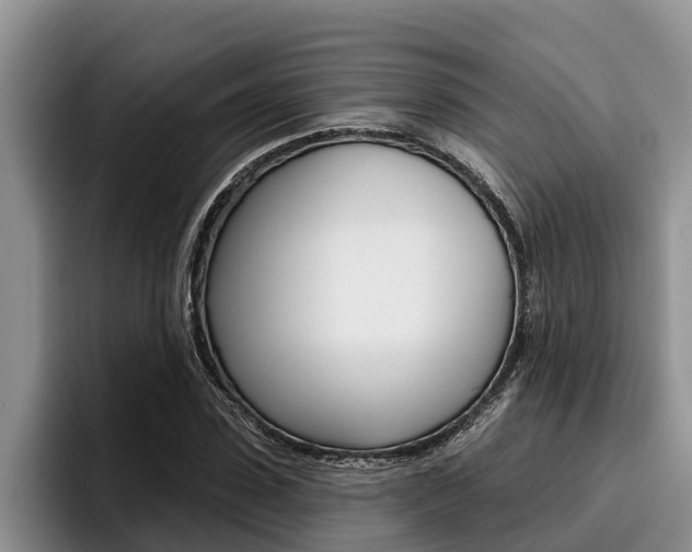 X0000096210923200801181006