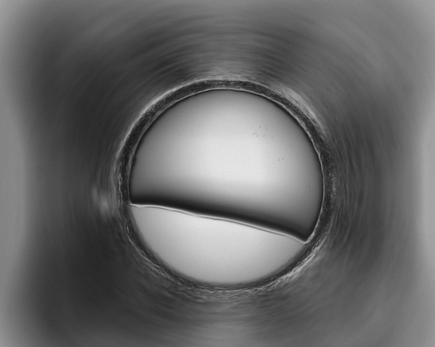 X0000096210926200801181006