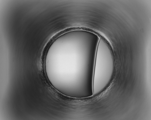 X0000096210927200801181006