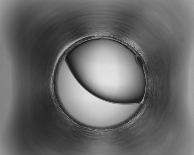 X0000096210928200801181006