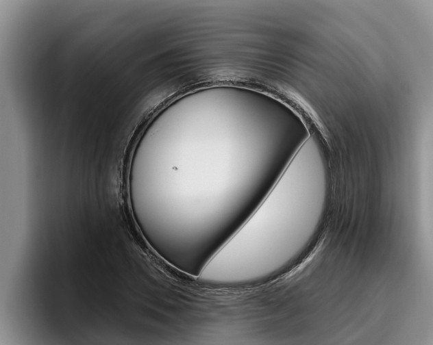 X0000096210930200801181006