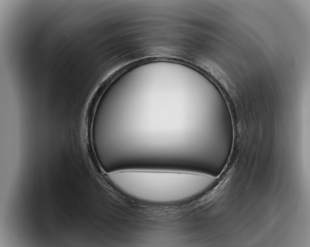 X0000096210931200801181006