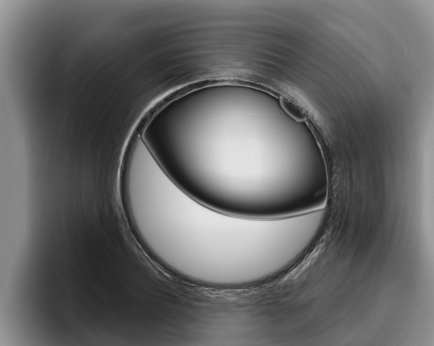 X0000096210932200801181006