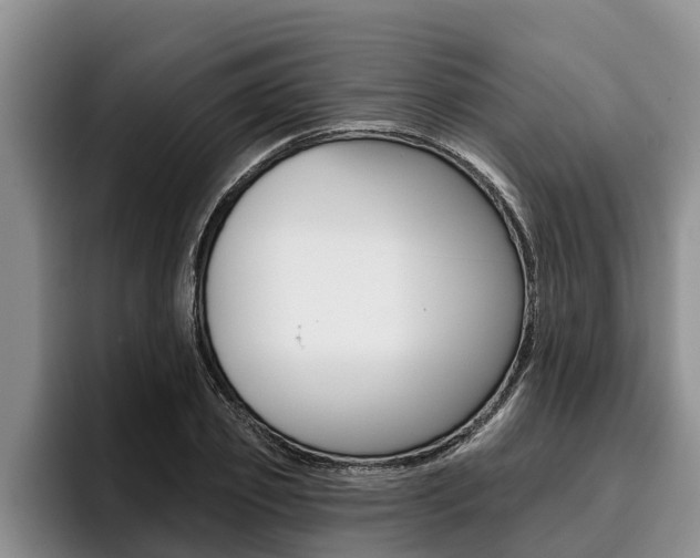 X0000096210933200801181006