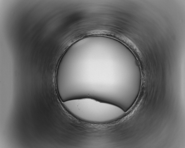 X0000096210937200801181006