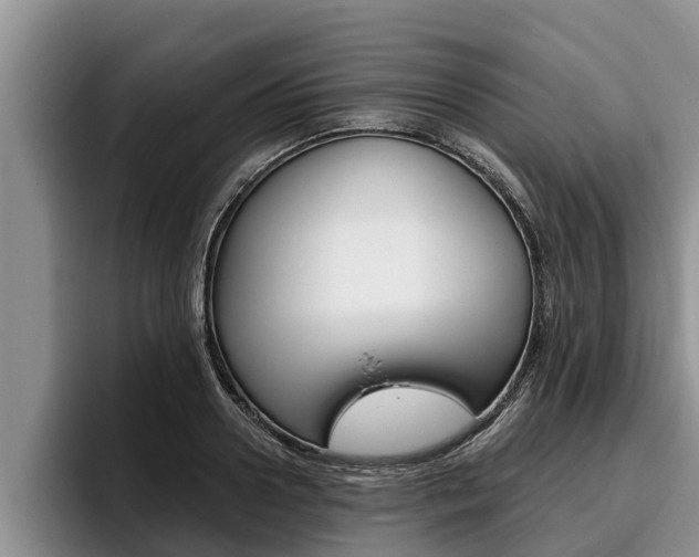 X0000096210938200801181006
