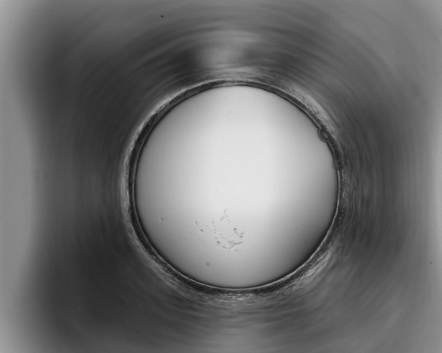 X0000096210939200801181006