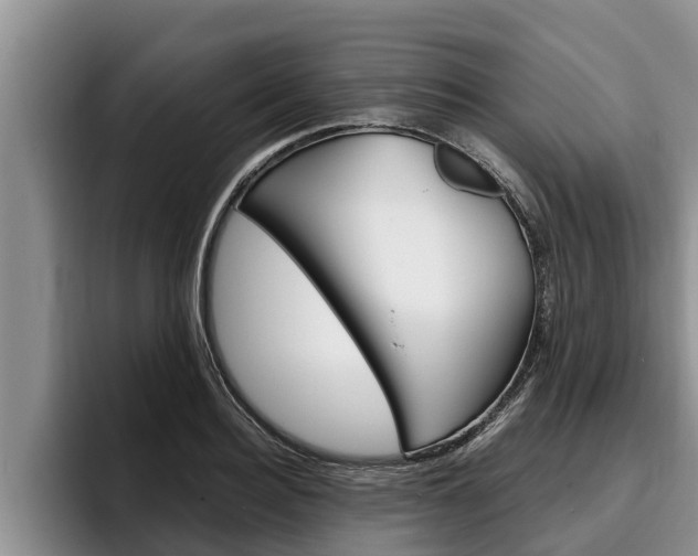 X0000096210940200801181006