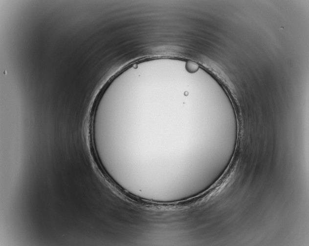 X0000096210941200801181006