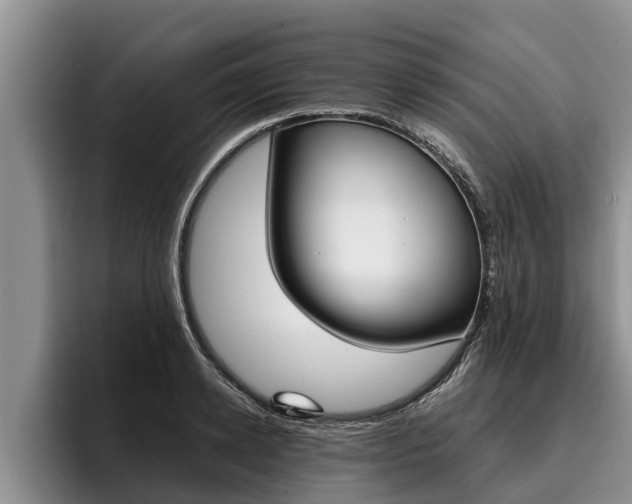 X0000096210942200801181006