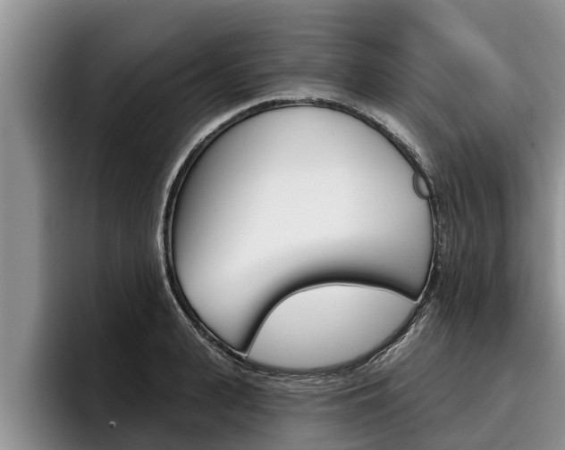 X0000096210943200801181006