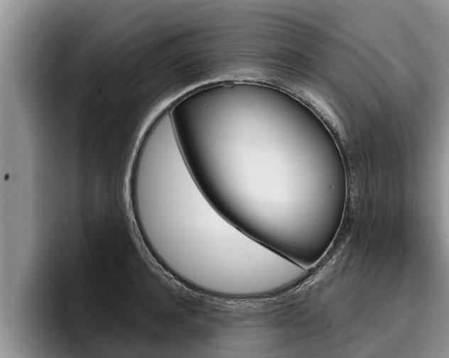 X0000096210944200801181006