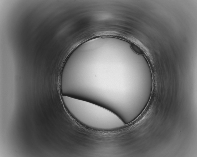 X0000096210945200801181006
