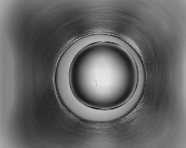 X0000096210946200801181006