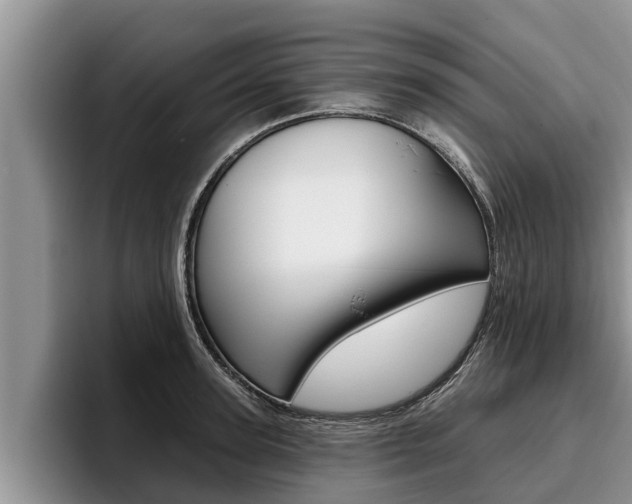 X0000096210947200801181006