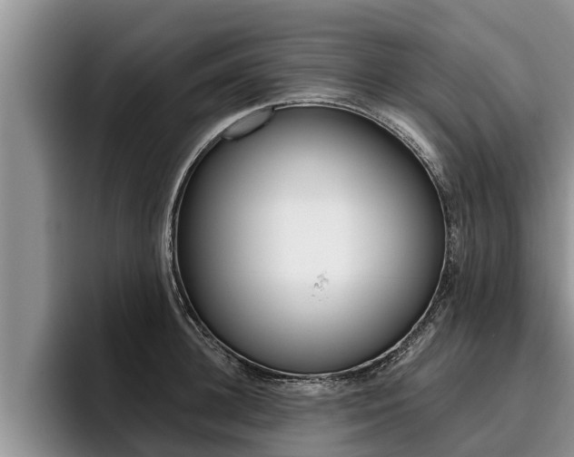 X0000096210948200801181006