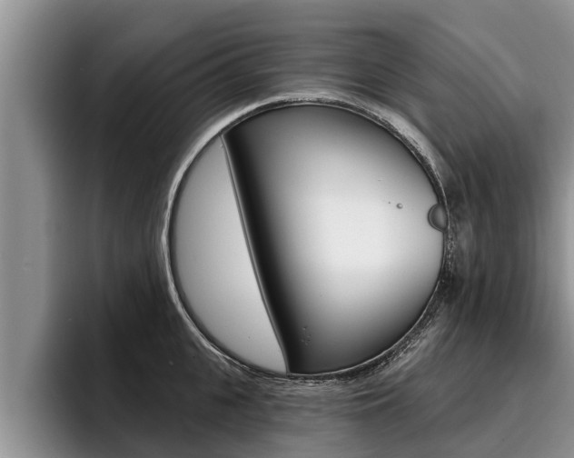 X0000096210951200801181006