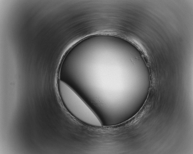 X0000096210952200801181006