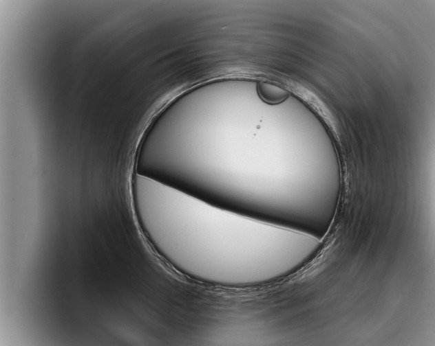 X0000096210954200801181006