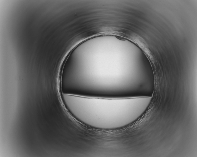 X0000096210955200801181006