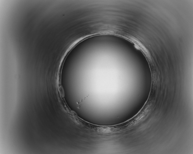 X0000096210956200801181007