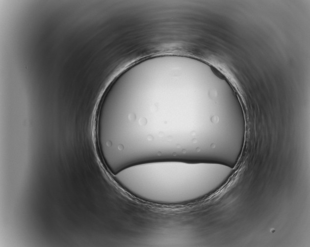 X0000096210957200801181007