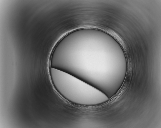 X0000096210958200801181007