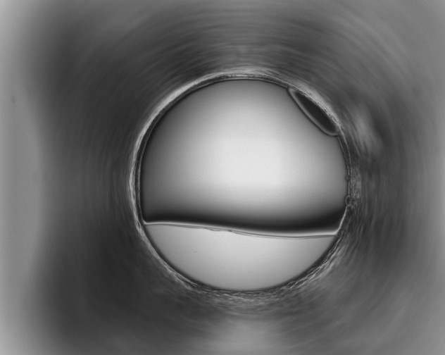 X0000096210959200801181007