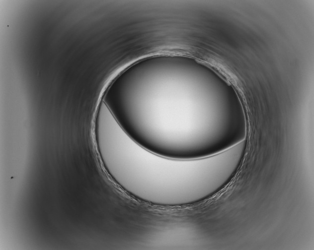 X0000096210960200801181007