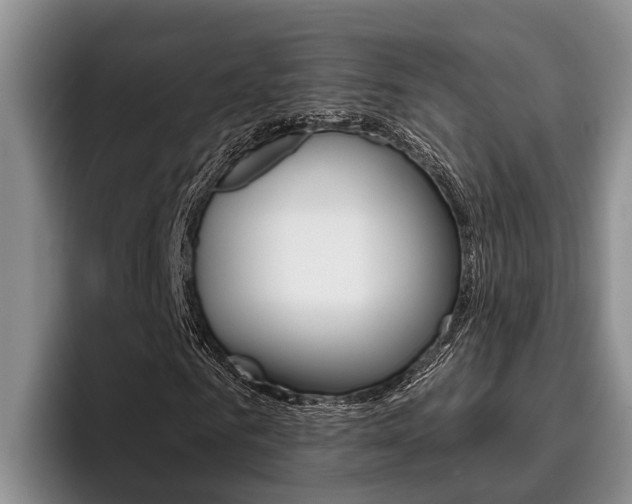 X0000096210961200801181006