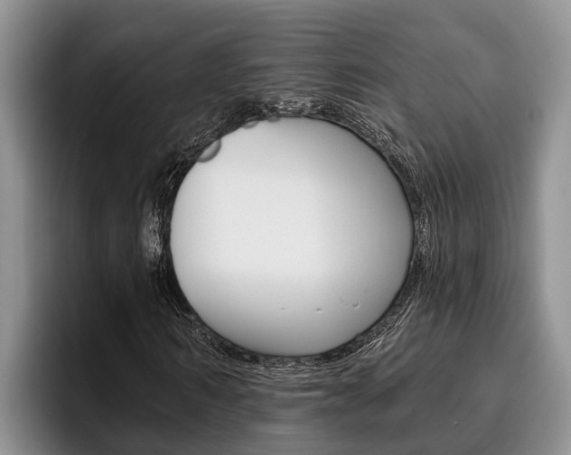 X0000096210962200801181006
