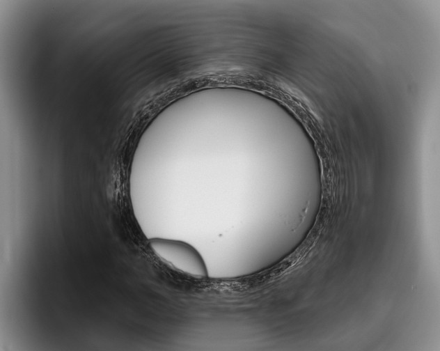 X0000096210966200801181006