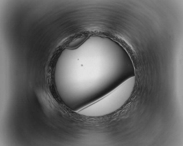 X0000096210968200801181006