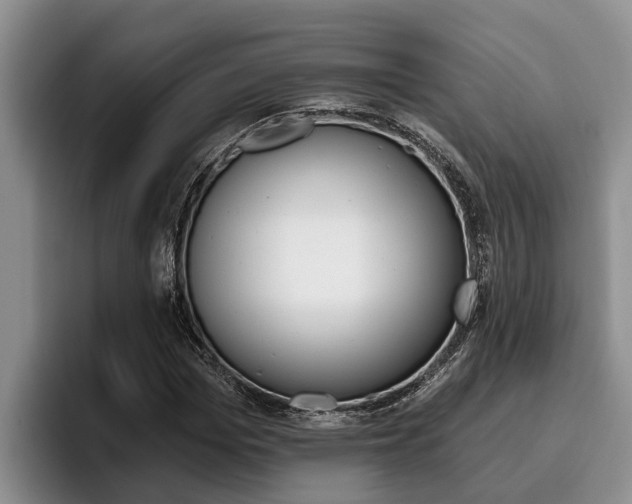 X0000096210969200801181006