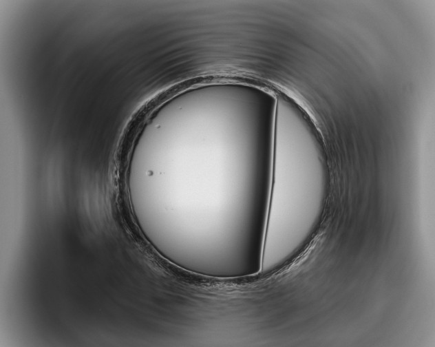 X0000096210971200801181006