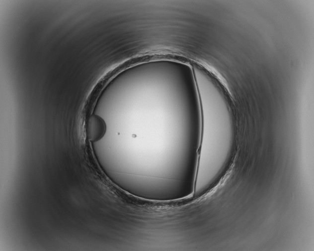X0000096210973200801181006