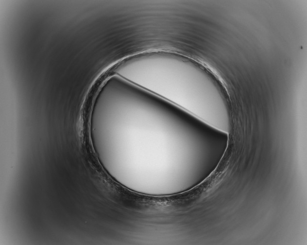 X0000096210975200801181006