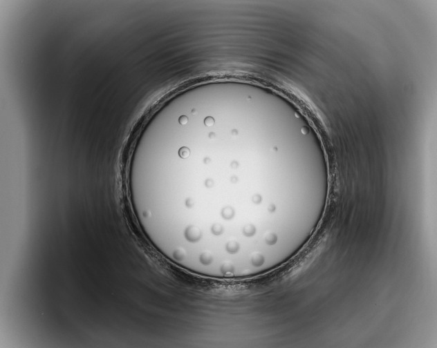 X0000096210978200801181006