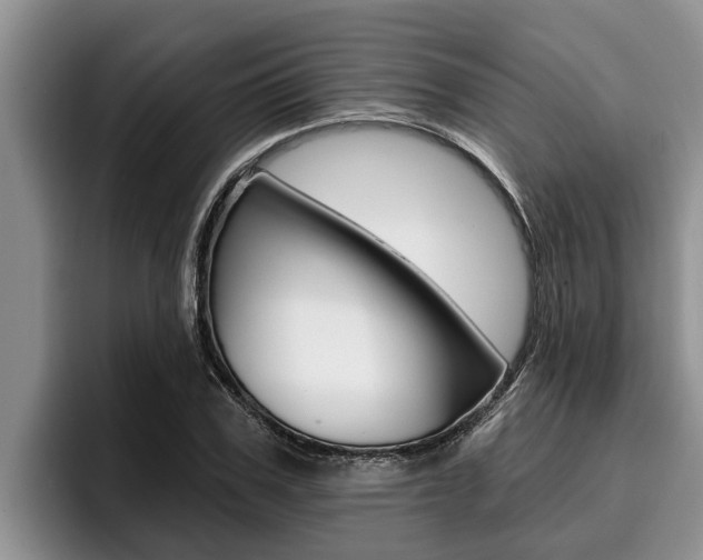 X0000096210979200801181006